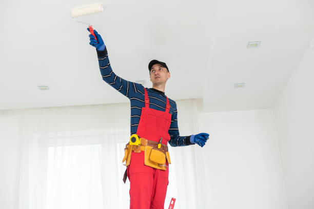 Best Interior Painting  in , FL