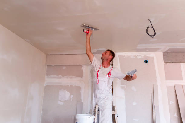 Best Drywall Texturing  in , FL