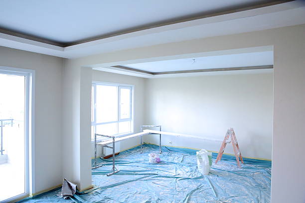 Best Repainting for Renovations  in , FL